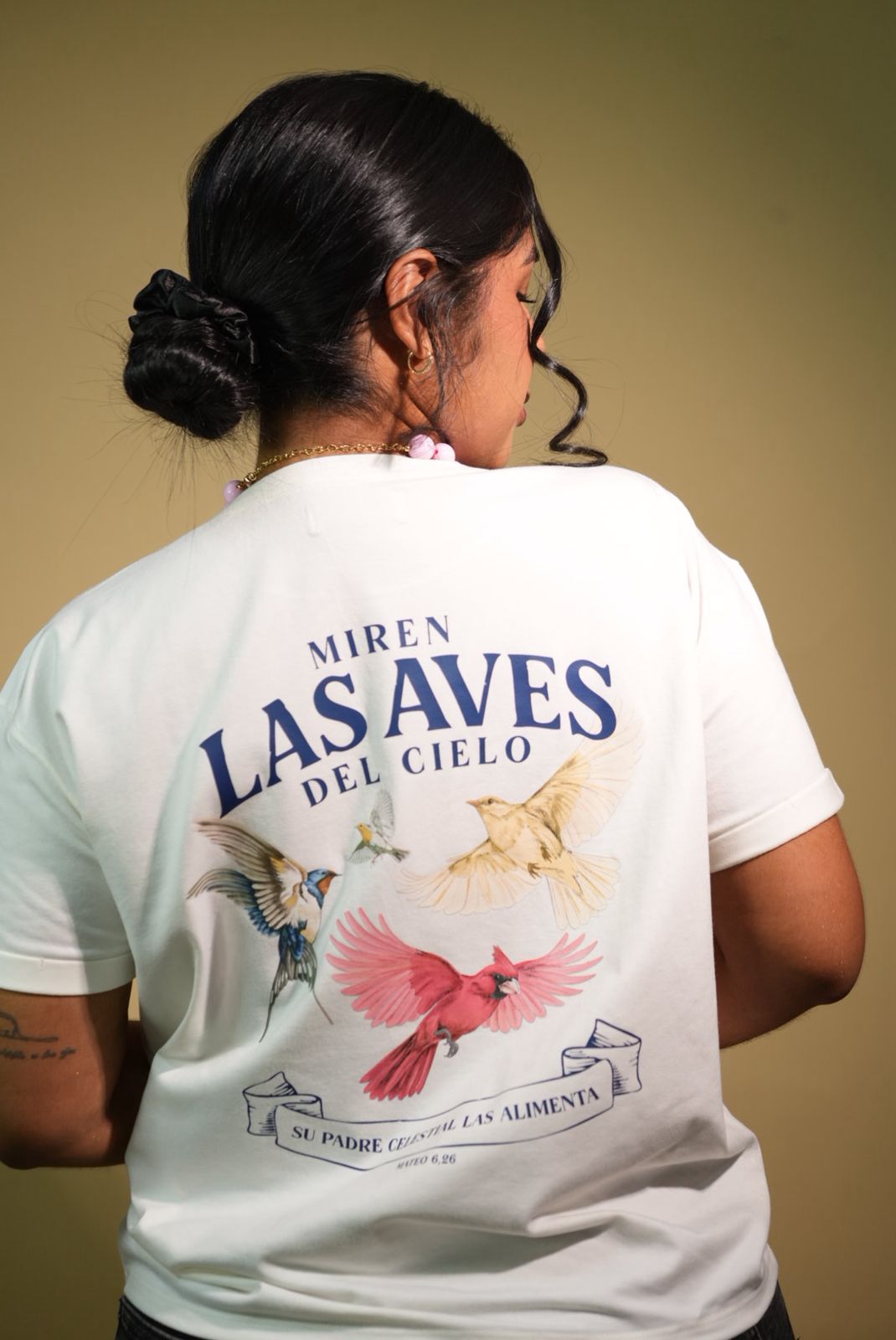 Aves del cielo